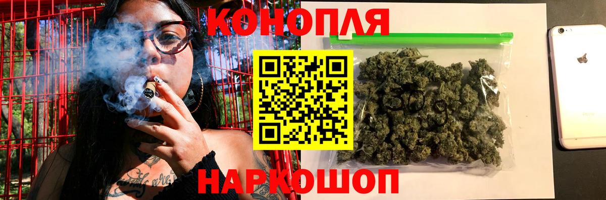 Конопля гибрид Елец